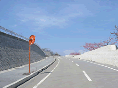 幹線道路2工区測量設計及び用地調査業務